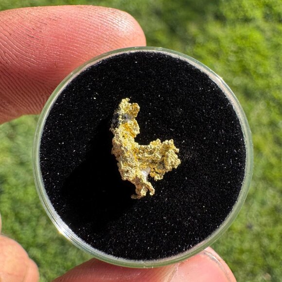California Native Gold Crystal - 0.56 grams - Picture 2 of 7